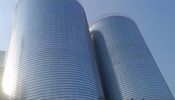 宏伟2座混凝土高架卷板仓